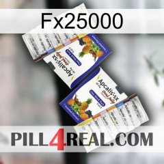 Fx25000 12